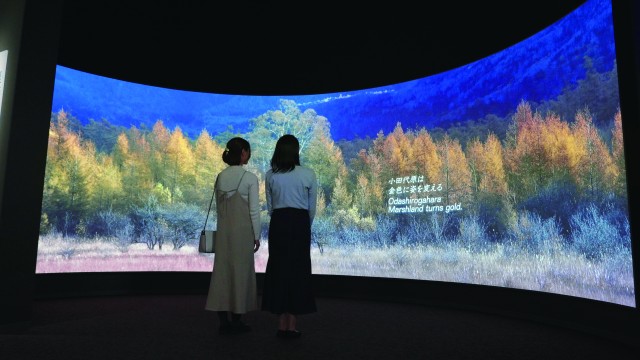 【2026年版】日光市内・雨でも楽しめるおでかけ＆体験スポット 30選